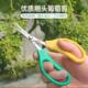 葡萄高头剪枝专用剪水果疏剪辣椒采摘果蔬剪枝专用剪枇杷橙采摘剪