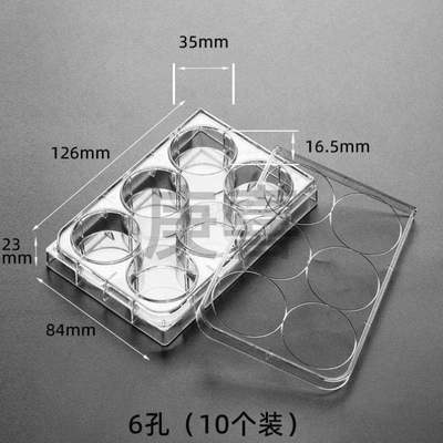 细胞培养6培养皿孔盒细菌4896孔细胞孔板孔板12带盖培养皿塑料24