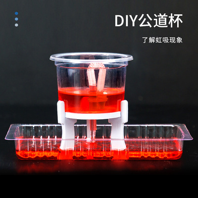 科学小实验diy公道杯虹吸现象模拟实验科技小制作stema材料包