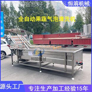 高压喷果淋蔬清洗机青梅杨梅果翻浪鼓 泡清浆洗机 洗菜机YXN价格