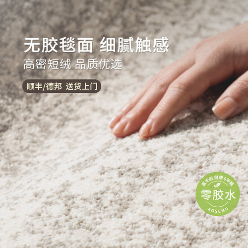 奶油风客厅地毯极简轻奢高级感卧室防水防污可擦免洗无甲醛易打理