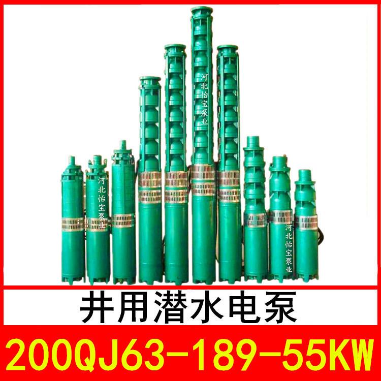 200QJ63-189/9井用潜水电泵深井泵QJR热水泵立式多级泵