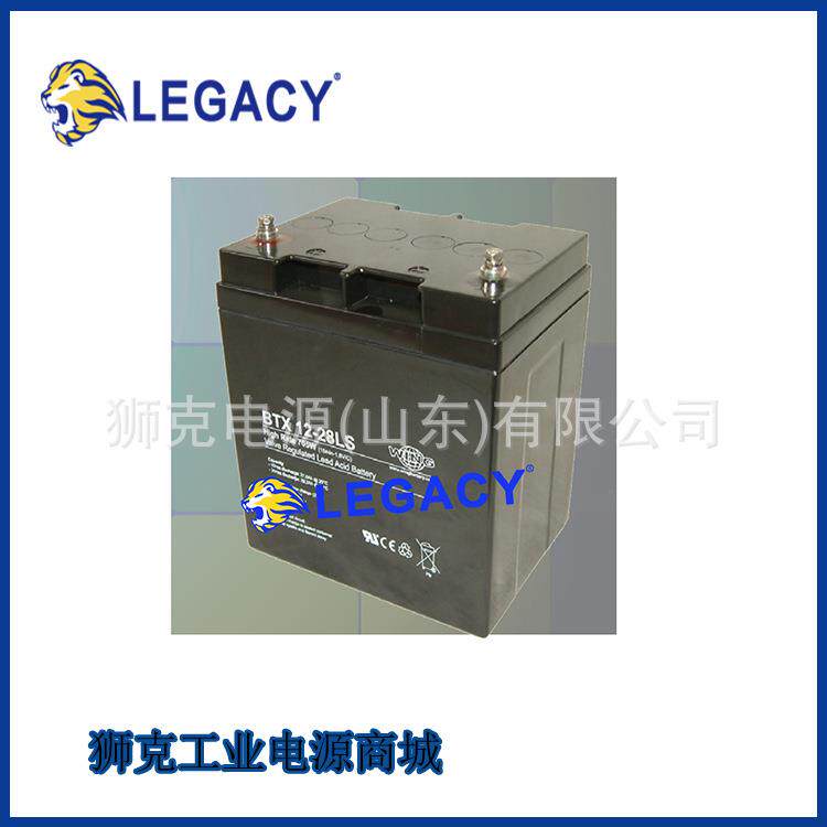 德国WING蓄电池BTX12-90LS直流屏12V90AH机房仪器仪表设备