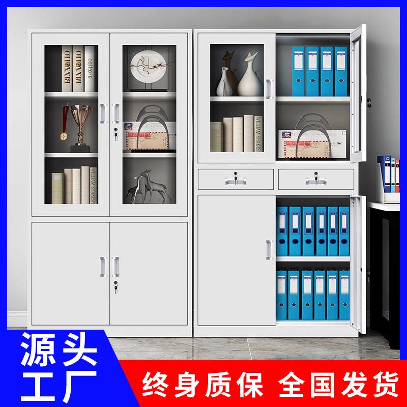 钢制铁皮资料文件柜办公室资料柜凭证柜员工档案储物柜矮柜二斗柜
