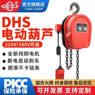 提升机环链电动葫芦 DHS链条葫芦吊机220380V1t2t3t5t吨固定挂钩式