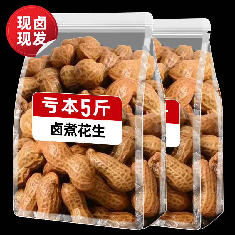 五香水煮花生卤汁500g袋装休闲带壳解馋小吃聚会唠嗑下酒菜好吃的