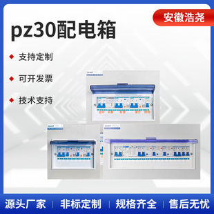 定 制pz30配电箱 回路强电箱电源表空气开关盒子照明布线箱明暗装