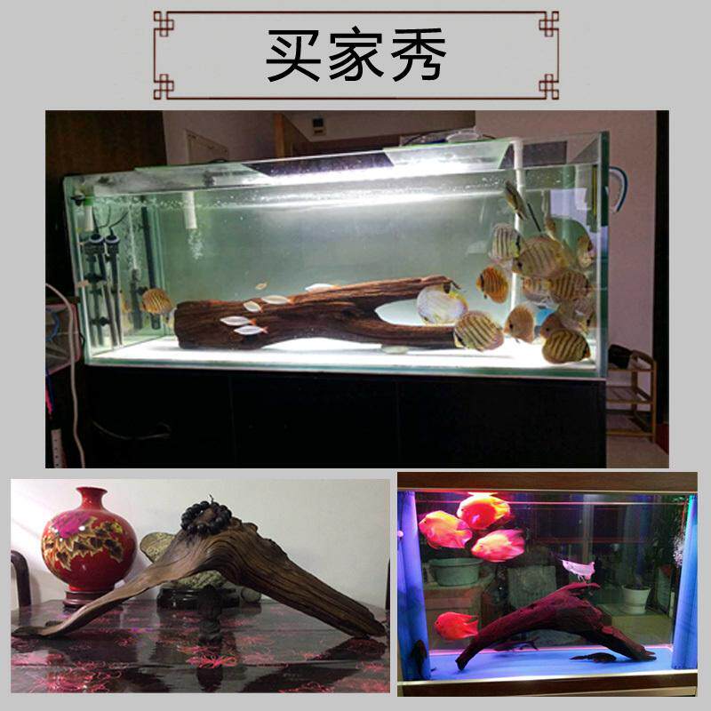 大型沉木60-80cm鱼缸造景摆件大号树桩龙鱼缸拱桥水沉木水族精品