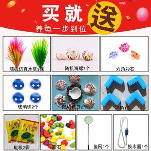 新款乌龟缸玻璃带晒台别墅长方形小型鱼缸水陆缸透明玻璃乌龟缸盆