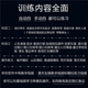 驾考模拟方向盘学车驾校科目二练车神器学车手动自动挡训练器机器