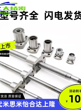 替代米思米压轧滚珠丝杆C-TBSB C-TBSE2505 2510 2525-200-2000