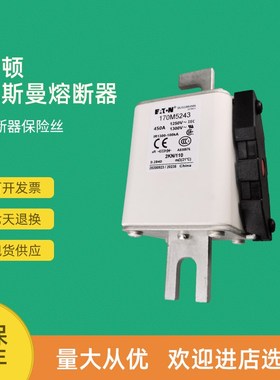全新快速a熔断器保险170M5283 170M5284 170M5289 170M5308