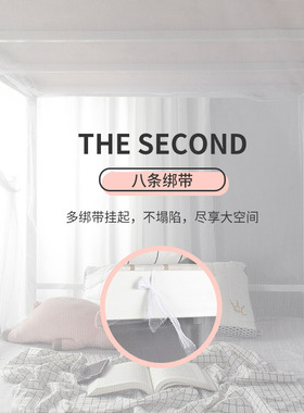 新款加密家用1.8m简约蚊帐白色公主蕾丝宿舍L上下铺单人床寝室1.5