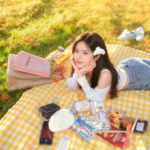 野餐垫防水加厚便携式户外旅游