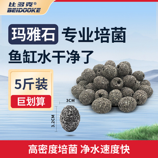 比多克玛雅石过滤材料细菌屋滤材水族鱼缸滤材陶瓷环滤材