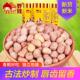 3袋零食坚果炒货特产新花生米下酒菜 野娃五香花生米120g 新米