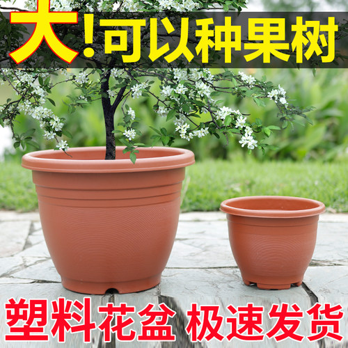树脂简约风AV塑料花盆