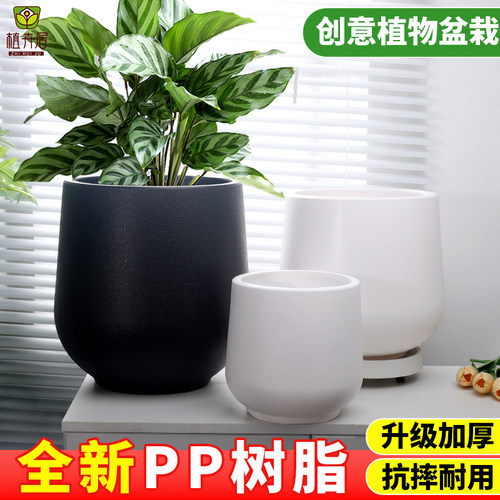 欧式家用客厅高级感创意花盆