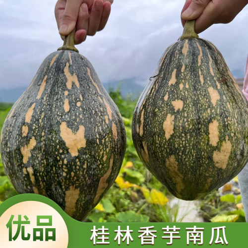 香芋南瓜【原生态种植天然香甜】