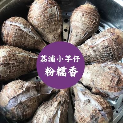 广西正宗荔浦小芋头仔粉糯新鲜农家软糯香芋艿非红芽牛奶油小芋头