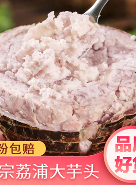 广西正宗荔浦大芋头新鲜桂林特产本地香芋商用特级槟榔芋旗舰店