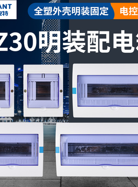 国光安特家用pz30电源配电箱明装回路箱强电箱漏电开关空开盒塑料