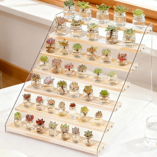 实木亚克力展示架公仔盲盒陈列架子手办收纳架古玩置物架文玩透明