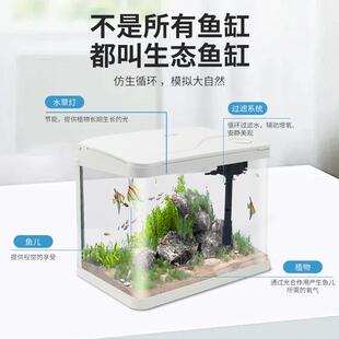 热弯高清玻璃鱼缸客厅小型家用桌面免换水循环生态造景水族箱