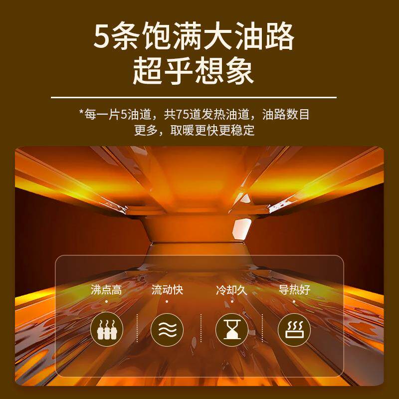 扬子油汀取暖器家用节能电暖气片室内暖风机取暖烤炉加热电暖器