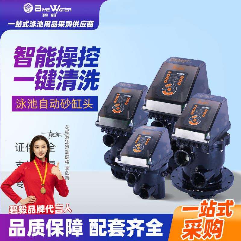 手机远程自动反冲洗过滤器养殖净化系统 锦鲤鱼池景观净水系统