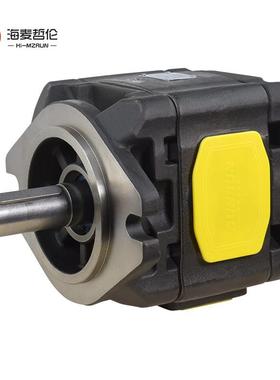 DYOSION内啮合齿轮泵125.3ml/r注塑机压铸机油压机伺服液压油泵