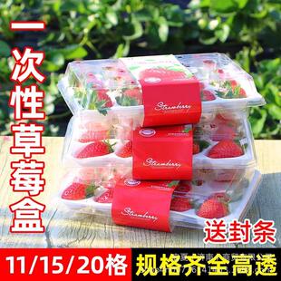 一次性草莓盒子透明泡沫内托草莓专用包装盒塑料15粒网红草莓盒
