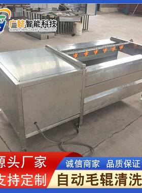海产品海虹毛辊清洗机柑橘清洗抛光打蜡机扇贝平行毛辊清洗机