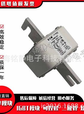 170M6113170M6114170M6115巴斯曼保险丝巴斯曼170M6116