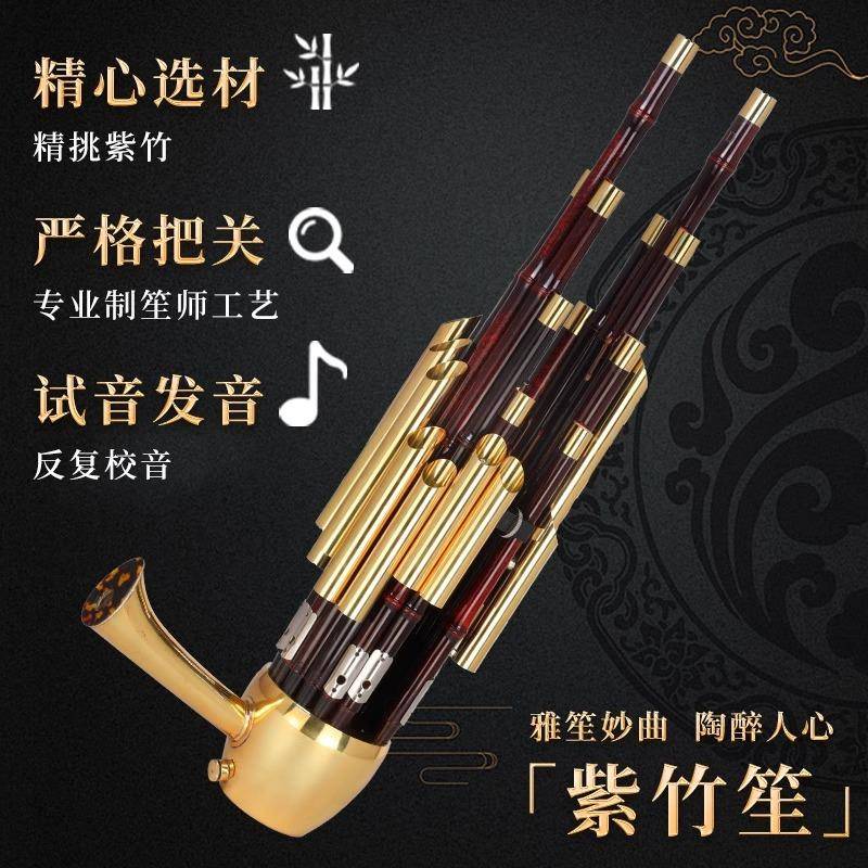 宏艺凤鸣14簧17簧21簧初学扩音紫竹圆笙方笙