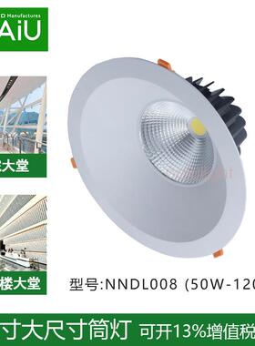 14寸筒灯30w40w50w60w嵌入式筒灯开孔300mm机场海关安检大厅照明