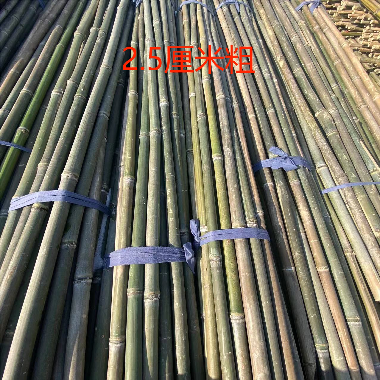 菜园搭架竹竿豆角黄瓜爬藤架园艺篱笆围栏旗杆竹竿瓜果爬藤架支撑