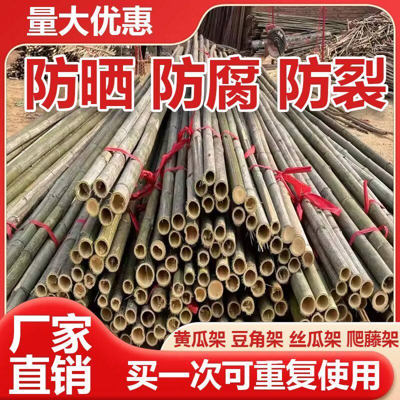新疆西藏包邮 小竹子细竹竿菜园搭架户外篱笆豆角架竹棍2米彩旗杆
