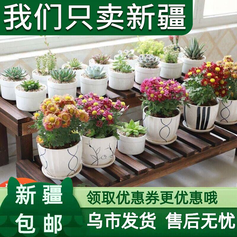 新疆包邮实木阶梯花架阳台花架子多肉养花架室内花盆架家用户外置