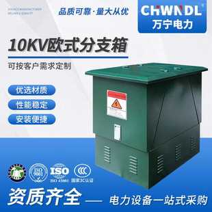 10KV电缆分支箱高压分接箱进出线630A户外一进三出电缆分支箱 欧式