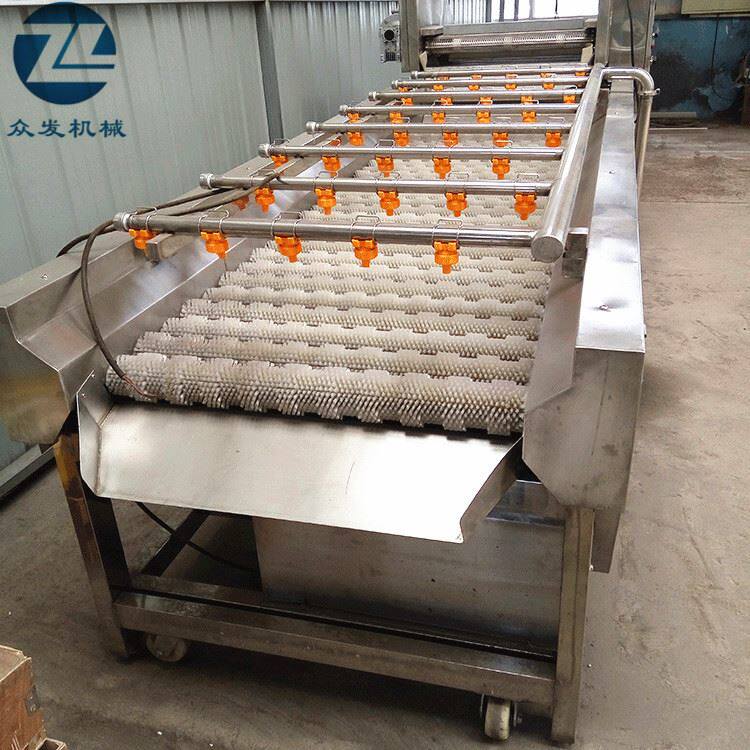 高品质 毛刷喷淋大枣清洗机 果子除杂清洗设备 红枣清洗烘干机器,清洗/食品/商业设备,洗果机/洗菜机,淘宝优惠券,粉丝福利购,淘宝优惠卷