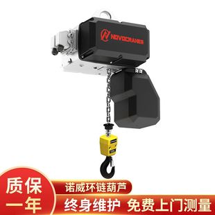 环链葫芦 电葫芦250kg环链电动葫芦0.5t固定式