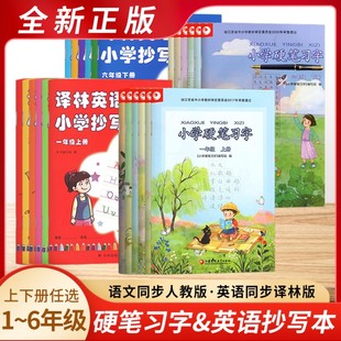 2024小学硬笔习字册部编版人教版英语抄写本一1二2三3四4五5六6年级上册下册楷书练字帖铅笔教材课本同步教科配套练习写字控笔训练