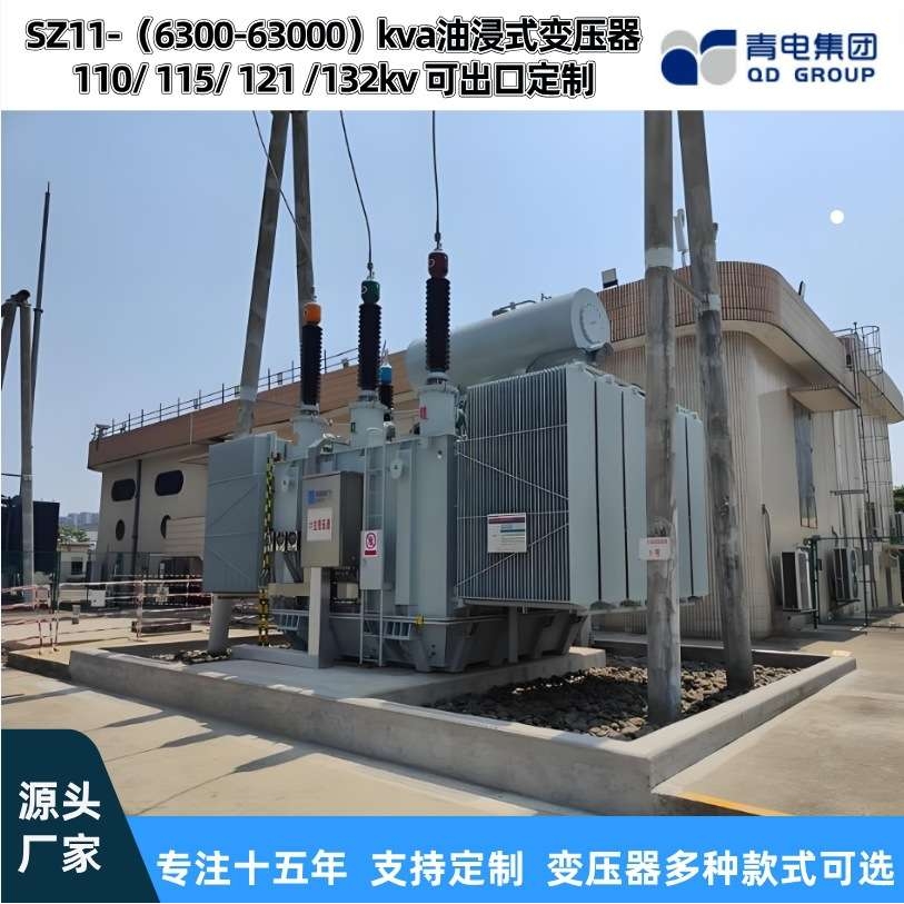 青电变压器厂  SZ20- 6300 25000 63000KVA/110kv油浸式主变压器