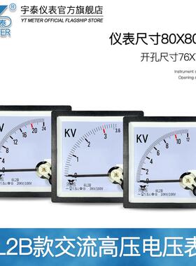 6L2B交流高电6压表3k v kv 10kv 压12kv40kv输入100v cp806L2B be