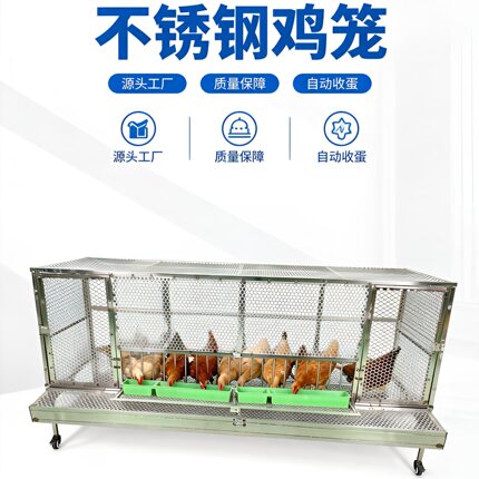 整体不锈钢鸡笼自动收蛋鸡笼特大号家用防鸡啄蛋户外鸡笼防黄鼠狼