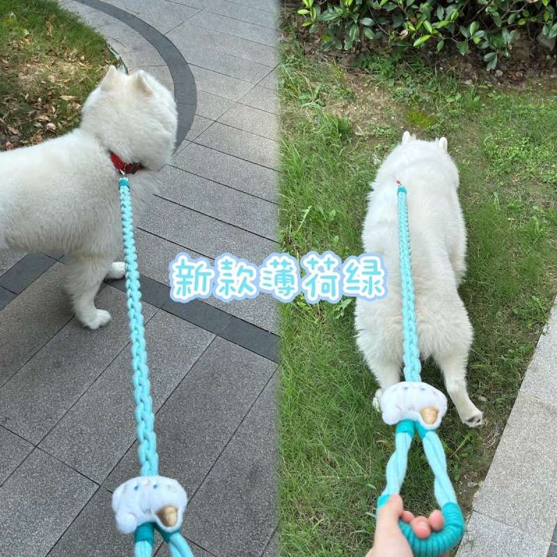 宠物牵引绳狗绳编织麻花绳外出大型犬短款舒适订作防脱不勒手加粗