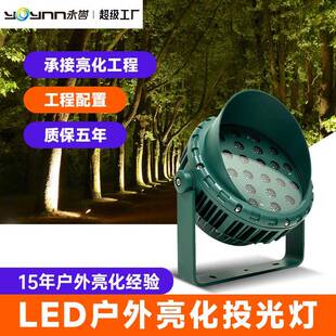 led七彩投光灯户外防水照树灯射树灯室外庭院绿化灯园林景观射灯