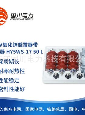 厂家配电避雷器10KV氧化锌避雷器带脱离器HY5WS-17/50L高压避雷器