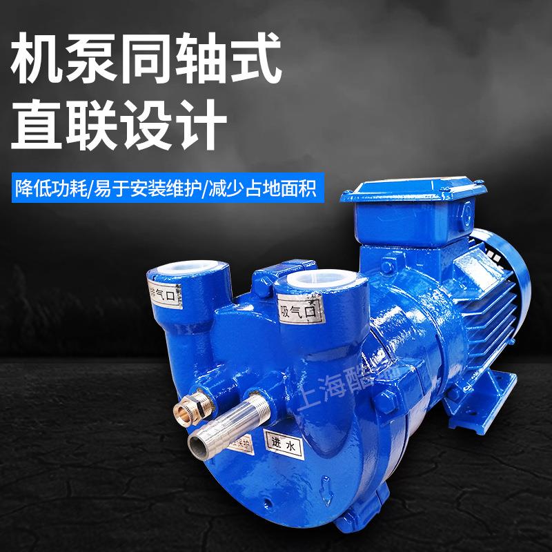 瑞酷牌2BV水环式真空泵 2BV20气6 SKA体泵 1液环900式水环真空泵
